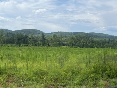 Lake Acreage For Sale in Gaylesville, Alabama