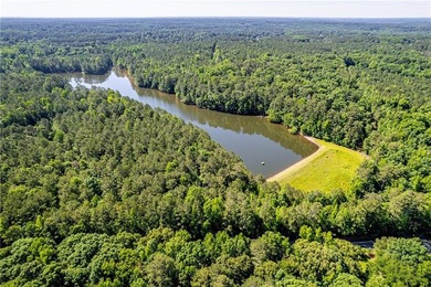 Rare opportunity to purchase 285.44 acres in Rockdale County - photo 11