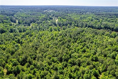 Rare opportunity to purchase 285.44 acres in Rockdale County - photo 13
