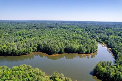 Rare opportunity to purchase 285.44 acres in Rockdale County - photo 15