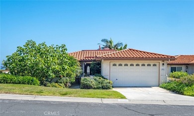 Experience coastal luxury living in this stunning Palos Verdes - photo 44