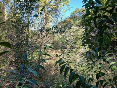 Lake Granbury Lot For Sale in Granbury Texas