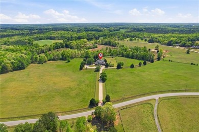 Truly majestic southern plantation living only about an hour - photo 12
