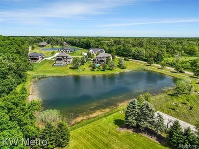 Set on a quiet cul-de-sac in one of Ray Township's most - photo 15