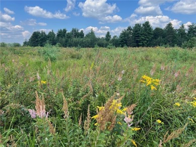Lake Acreage For Sale in Augusta, Wisconsin