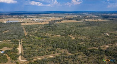 314 +/- Acres in Gonzales County | Prime Hunting & Ranch - photo 2
