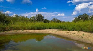 314 +/- Acres in Gonzales County | Prime Hunting & Ranch - photo 3
