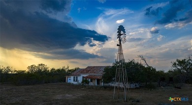 314 +/- Acres in Gonzales County | Prime Hunting & Ranch - photo 4