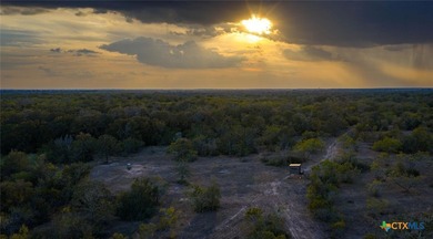 314 +/- Acres in Gonzales County | Prime Hunting & Ranch - photo 5