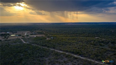 314 +/- Acres in Gonzales County | Prime Hunting & Ranch - photo 7