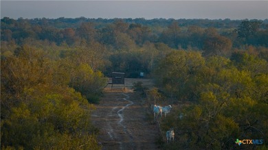 314 +/- Acres in Gonzales County | Prime Hunting & Ranch - photo 8