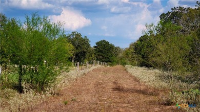 314 +/- Acres in Gonzales County | Prime Hunting & Ranch - photo 10