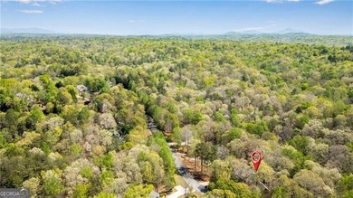 Price Under Current Appraised Value. Highly-Sought After - photo 39
