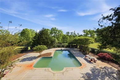 Truly majestic southern plantation living only about an hour - photo 50