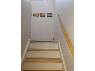 Raised Fema-compliant Home in the Heart of the west end close to - photo 8