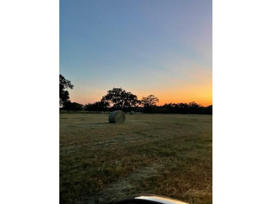 Lake Fork Acreage For Sale in Emory Texas