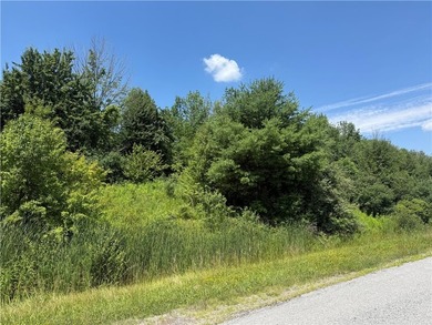 Discover the possibilities with this 2.7-acre split-lot property - photo 2