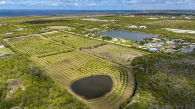 Mango Grove Investment Opportunity on Pine Island featuring - photo 2