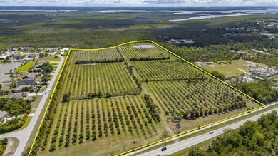 Mango Grove Investment Opportunity on Pine Island featuring - photo 3