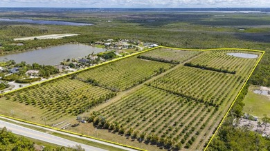 Mango Grove Investment Opportunity on Pine Island featuring - photo 4