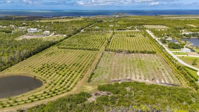 Mango Grove Investment Opportunity on Pine Island featuring - photo 5