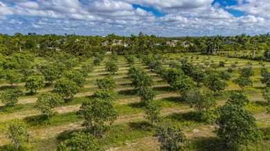 Mango Grove Investment Opportunity on Pine Island featuring - photo 8