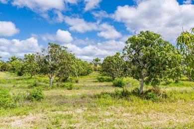 Mango Grove Investment Opportunity on Pine Island featuring - photo 10