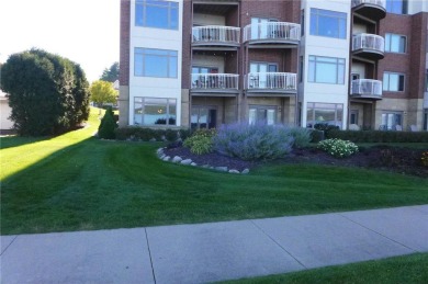 Lake Condo For Sale in Lake City, Minnesota