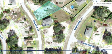 Lake Marion - Polk County Lot For Sale in Kissimmee Florida