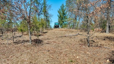 This 175+/- acres outside New Lisbon in Juneau County offers a - photo 12