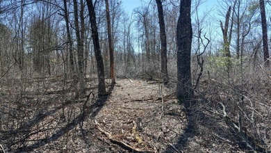 This 175+/- acres outside New Lisbon in Juneau County offers a - photo 13