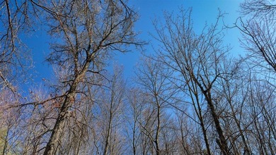 This 175+/- acres outside New Lisbon in Juneau County offers a - photo 14