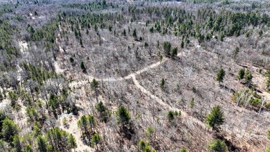 This 175+/- acres outside New Lisbon in Juneau County offers a - photo 15