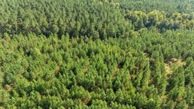 Broken Bow Lake Lot For Sale in Broken Bow Oklahoma