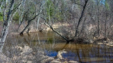This 175+/- acres outside New Lisbon in Juneau County offers a - photo 21