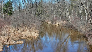 This 175+/- acres outside New Lisbon in Juneau County offers a - photo 24