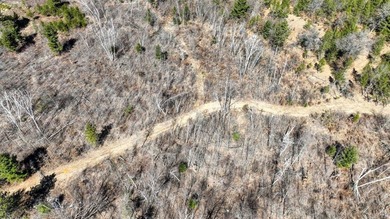 This 175+/- acres outside New Lisbon in Juneau County offers a - photo 26