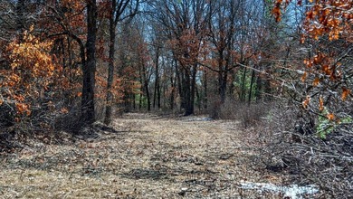 This 175+/- acres outside New Lisbon in Juneau County offers a - photo 27