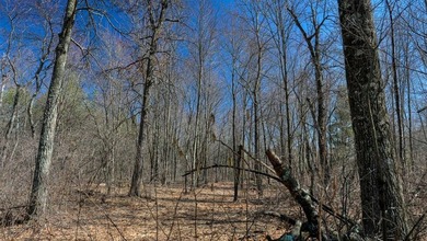 This 175+/- acres outside New Lisbon in Juneau County offers a - photo 28
