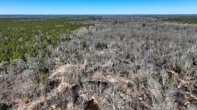 This 175+/- acres outside New Lisbon in Juneau County offers a - photo 29