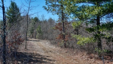 This 175+/- acres outside New Lisbon in Juneau County offers a - photo 30