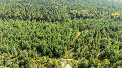 Broken Bow Lake Lot For Sale in Broken Bow Oklahoma