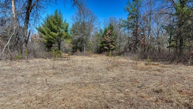 This 175+/- acres outside New Lisbon in Juneau County offers a - photo 31