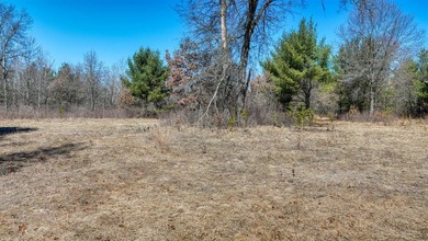 This 175+/- acres outside New Lisbon in Juneau County offers a - photo 32