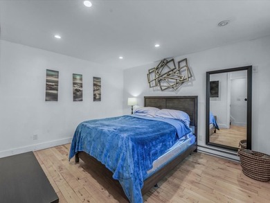 **TWO BROWNSTONE BUILDINGS FOR THE PRICE OF ONE ON THE SAME LOT - photo 33