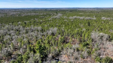 This 175+/- acres outside New Lisbon in Juneau County offers a - photo 33