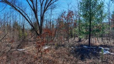 This 175+/- acres outside New Lisbon in Juneau County offers a - photo 34
