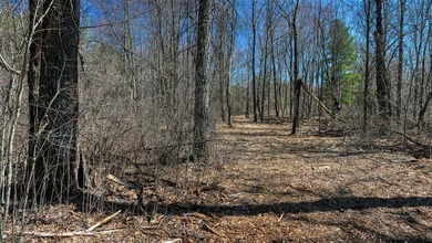 This 175+/- acres outside New Lisbon in Juneau County offers a - photo 35