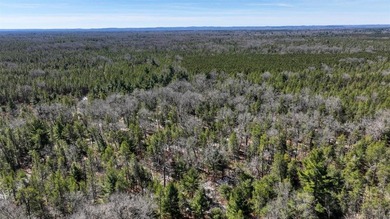 This 175+/- acres outside New Lisbon in Juneau County offers a - photo 36