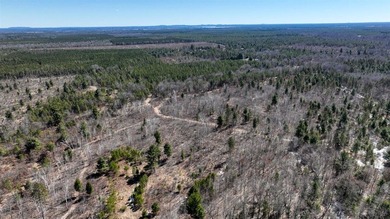 This 175+/- acres outside New Lisbon in Juneau County offers a - photo 37